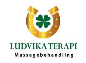 Ludvika Terapi Massagebehandling